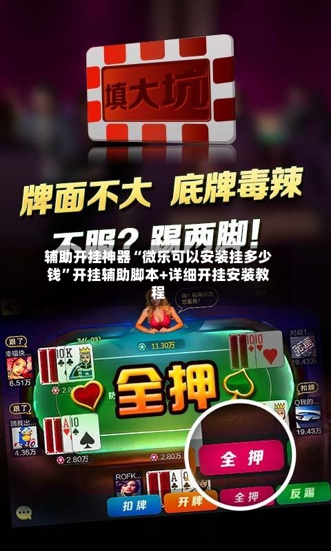 辅助开挂神器“微乐可以安装挂多少钱”开挂辅助脚本+详细开挂安装教程