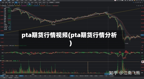 pta期货行情视频(pta期货行情分析)