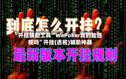 开挂辅助工具“WePoker真的能透视吗”开挂(透视)辅助神器-第3张图片