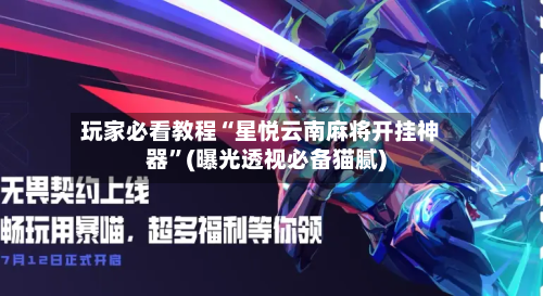 玩家必看教程“星悦云南麻将开挂神器”(曝光透视必备猫腻)-第3张图片