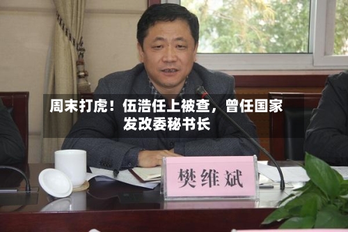 周末打虎！伍浩任上被查	，曾任国家发改委秘书长-第3张图片