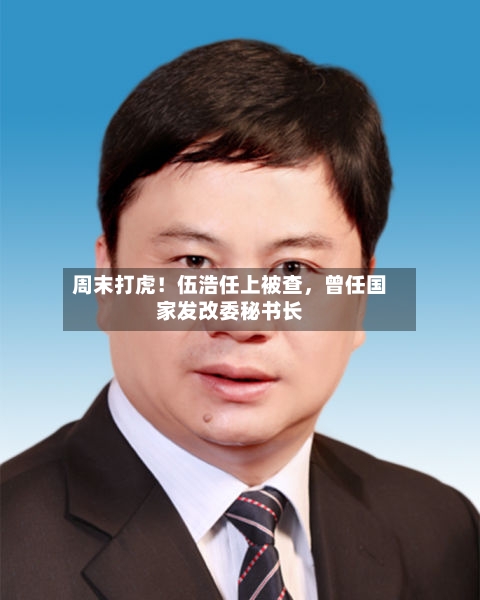 周末打虎！伍浩任上被查，曾任国家发改委秘书长-第2张图片