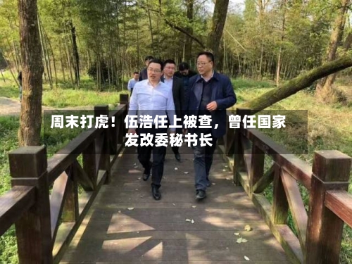 周末打虎！伍浩任上被查，曾任国家发改委秘书长