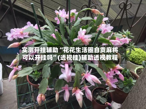 实测开挂辅助“花花生活圈自贡麻将可以开挂吗”(透视挂)辅助透视教程