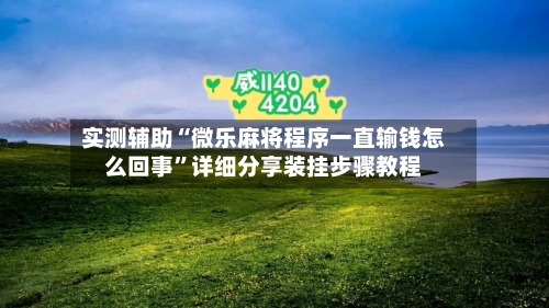 实测辅助“微乐麻将程序一直输钱怎么回事”详细分享装挂步骤教程-第3张图片