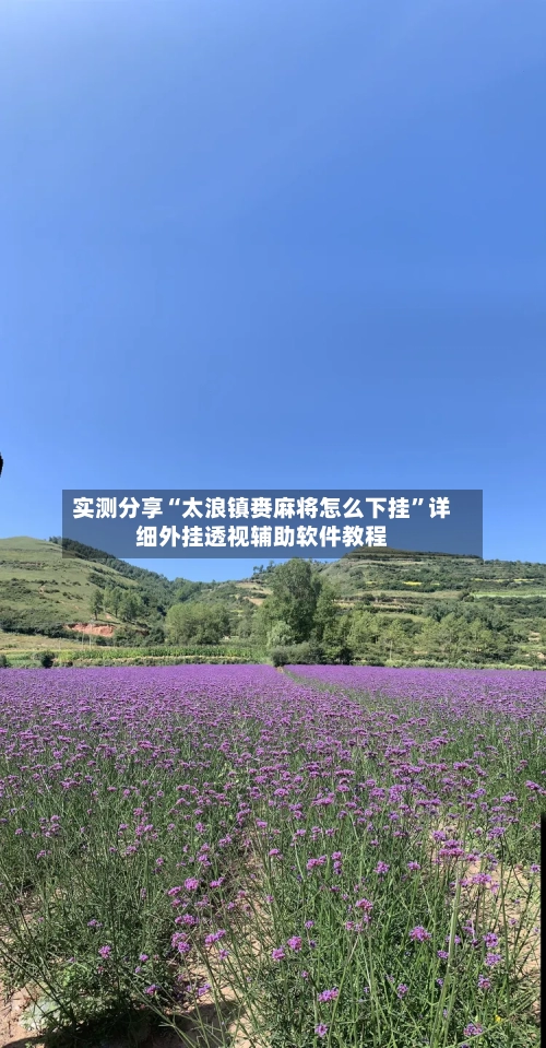 实测分享“太浪镇赉麻将怎么下挂”详细外挂透视辅助软件教程-第3张图片