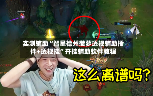 实测辅助“智星德州菠萝透视辅助插件+透视挂	”开挂辅助软件教程-第2张图片