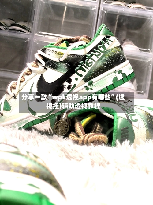 分享一款“wpk透视app有哪些”(透视挂)辅助透视教程-第3张图片