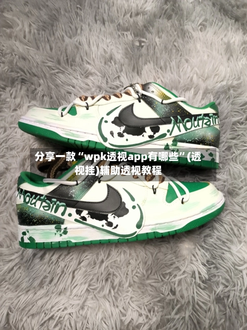 分享一款“wpk透视app有哪些	”(透视挂)辅助透视教程-第2张图片