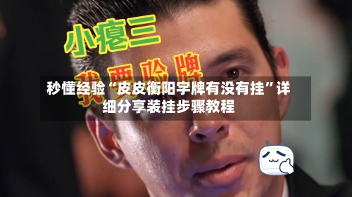 秒懂经验“皮皮衡阳字牌有没有挂”详细分享装挂步骤教程-第3张图片