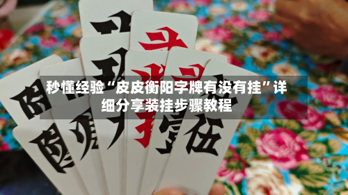 秒懂经验“皮皮衡阳字牌有没有挂”详细分享装挂步骤教程-第2张图片