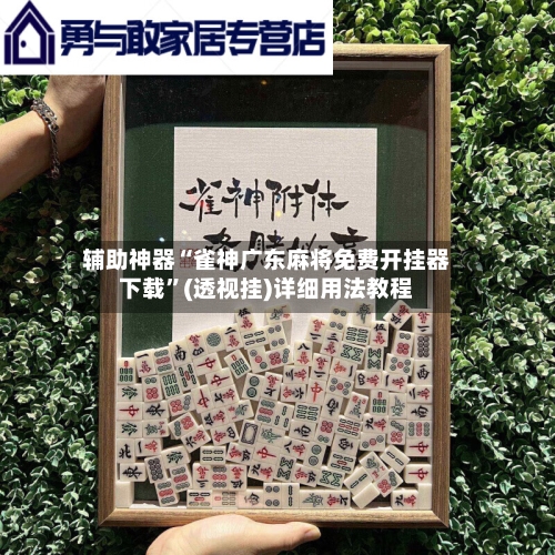 辅助神器“雀神广东麻将免费开挂器下载”(透视挂)详细用法教程-第2张图片