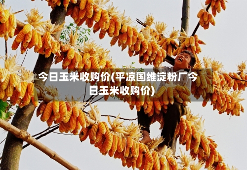 今日玉米收购价(平凉国维淀粉厂今日玉米收购价)