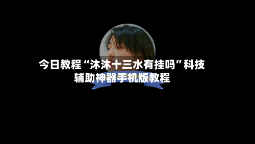 今日教程“沐沐十三水有挂吗”科技辅助神器手机版教程-第2张图片