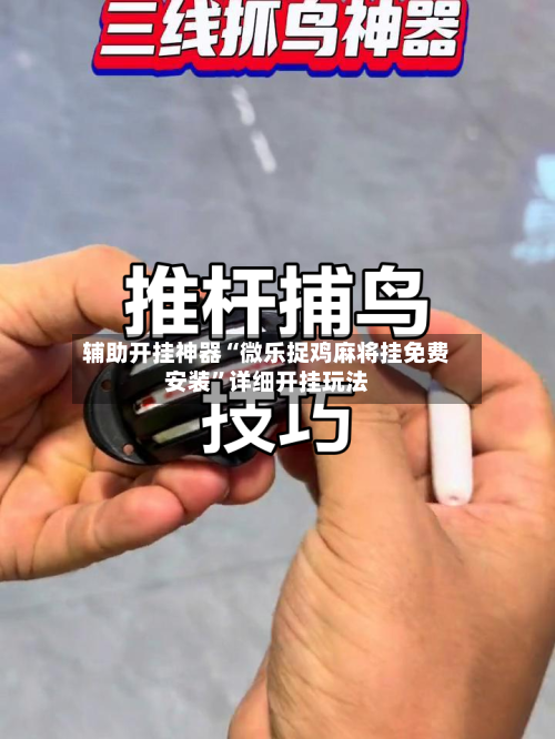 辅助开挂神器“微乐捉鸡麻将挂免费安装”详细开挂玩法-第2张图片