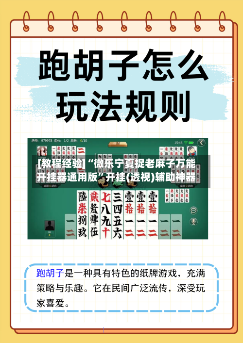 [教程经验]“微乐宁夏捉老麻子万能开挂器通用版”开挂(透视)辅助神器