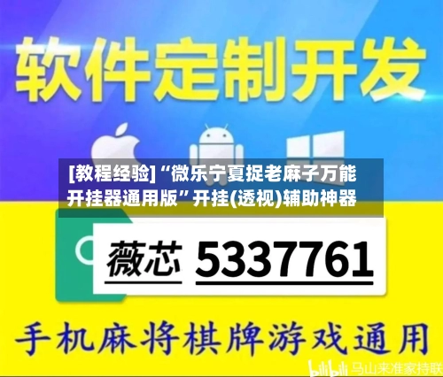 [教程经验]“微乐宁夏捉老麻子万能开挂器通用版	”开挂(透视)辅助神器-第2张图片