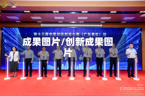 成果图片/创新成果图片