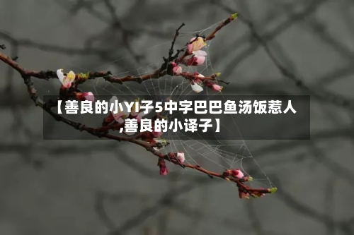 【善良的小YI子5中字巴巴鱼汤饭惹人,善良的小译子】-第3张图片