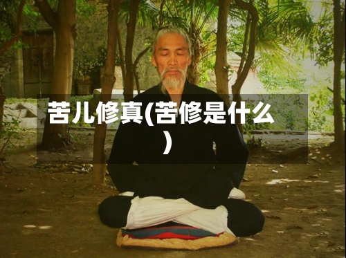 苦儿修真(苦修是什么)-第2张图片