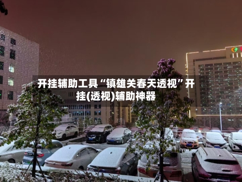 开挂辅助工具“镇雄关春天透视”开挂(透视)辅助神器-第2张图片