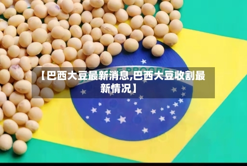 【巴西大豆最新消息,巴西大豆收割最新情况】
