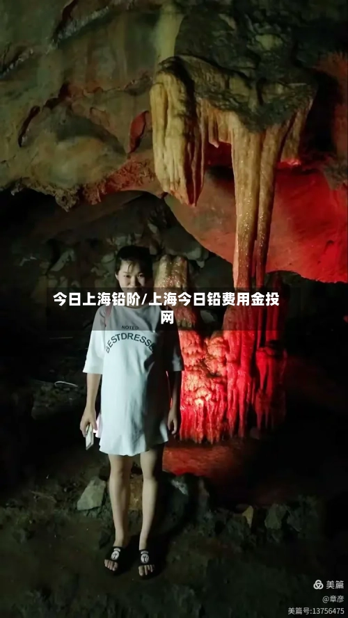 今日上海铅阶/上海今日铅费用金投网