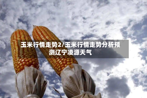 玉米行情走势2/玉米行情走势分析预测辽宁凌源天气