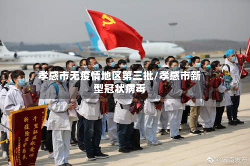 孝感市无疫情地区第三批/孝感市新型冠状病毒-第3张图片