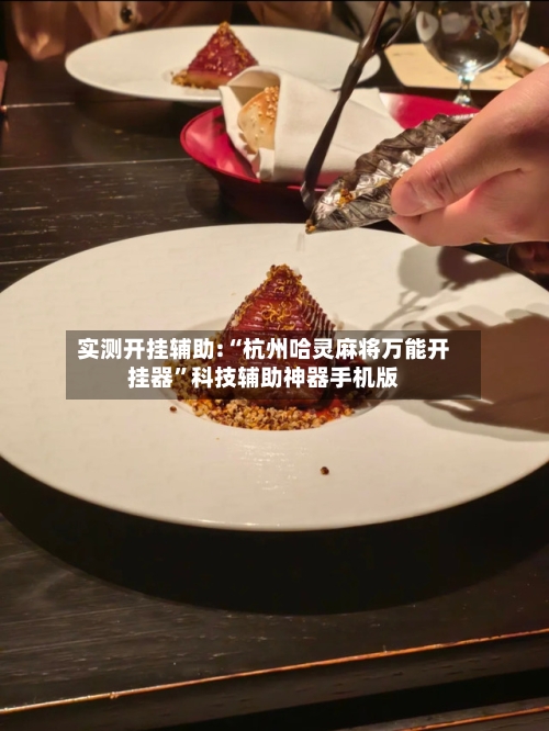 实测开挂辅助:“杭州哈灵麻将万能开挂器”科技辅助神器手机版-第2张图片