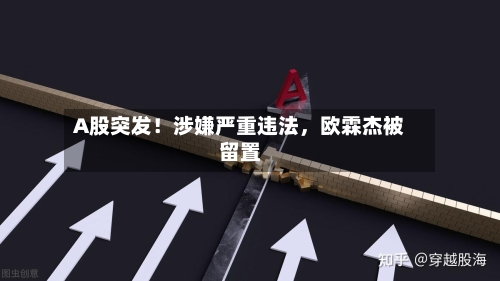 A股突发！涉嫌严重违法，欧霖杰被留置-第2张图片