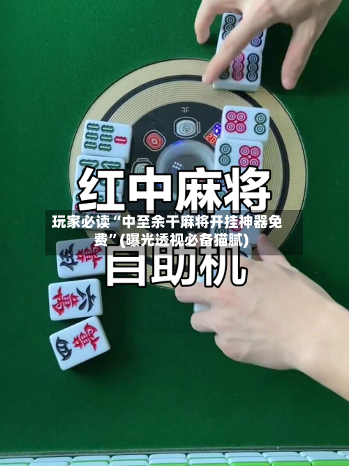 玩家必读“中至余干麻将开挂神器免费”(曝光透视必备猫腻)-第3张图片