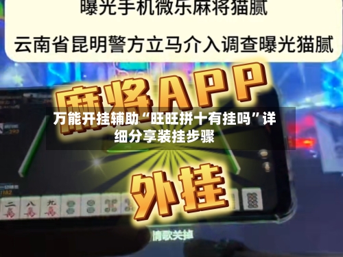 万能开挂辅助“旺旺拼十有挂吗”详细分享装挂步骤-第3张图片