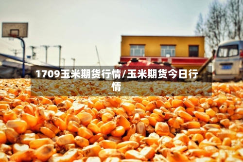 1709玉米期货行情/玉米期货今日行情