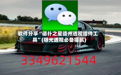 软件分享“德扑之星德州透视插件工具	”(曝光透视必备猫腻)-第2张图片