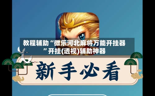 教程辅助“微乐河北麻将万能开挂器”开挂(透视)辅助神器-第3张图片