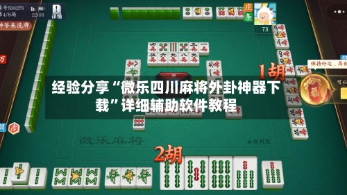 经验分享“微乐四川麻将外卦神器下载”详细辅助软件教程-第2张图片
