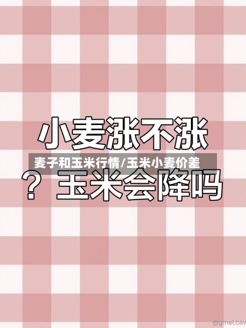 麦子和玉米行情/玉米小麦价差