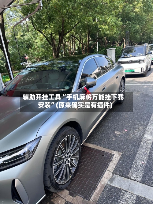 辅助开挂工具“手机麻将万能挂下载安装	”(原来确实是有插件)-第2张图片