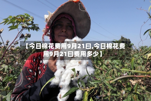 【今日棉花费用9月21曰,今日棉花费用9月21曰费用多少】-第2张图片