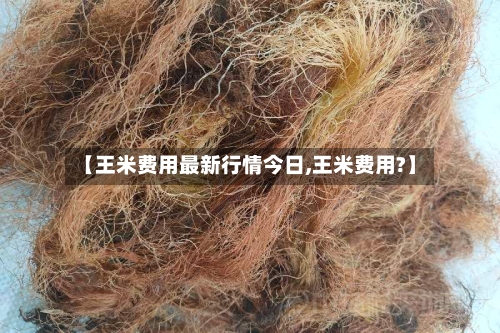 【王米费用最新行情今日,王米费用?】
