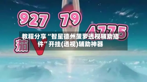 教程分享“智星德州菠萝透视辅助插件”开挂(透视)辅助神器-第3张图片