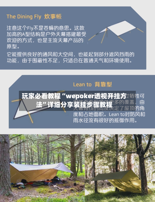 玩家必看教程“wepoker透视开挂方法	”详细分享装挂步骤教程-第2张图片