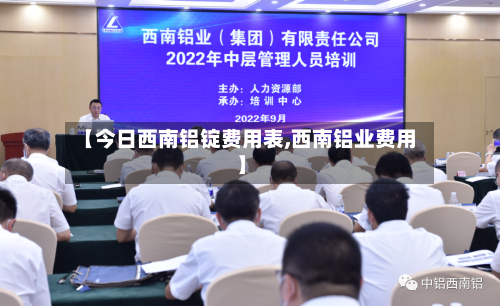 【今日西南铝锭费用表,西南铝业费用】-第2张图片