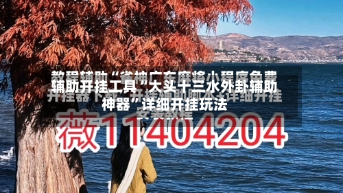 辅助开挂工具“大头十三水外卦辅助神器	”详细开挂玩法-第2张图片
