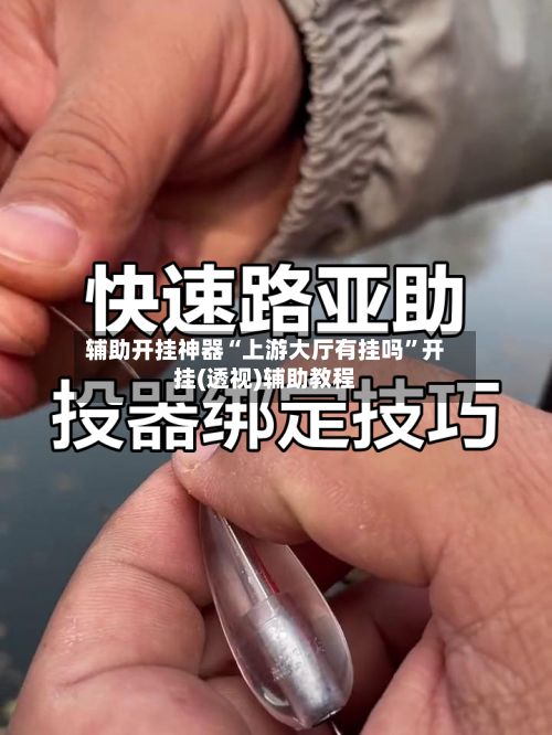 辅助开挂神器“上游大厅有挂吗”开挂(透视)辅助教程-第2张图片
