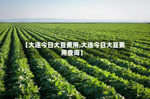 【大连今日大豆费用,大连今日大豆费用查询】