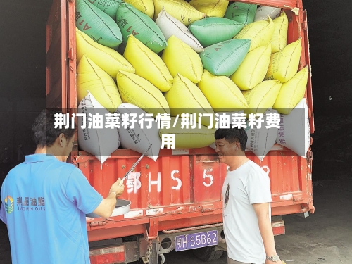 荆门油菜籽行情/荆门油菜籽费用