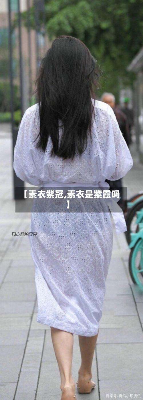 【素衣紫冠,素衣是紫霞吗】-第2张图片