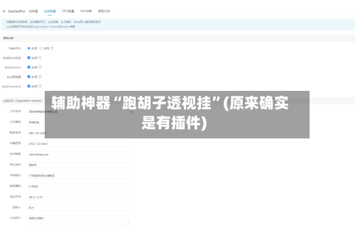辅助神器“跑胡子透视挂”(原来确实是有插件)-第2张图片
